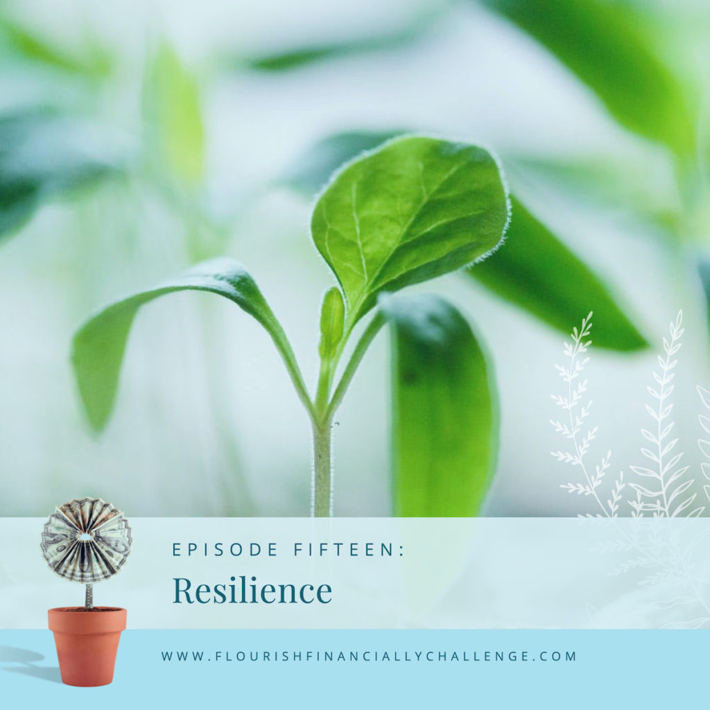 FFC Episode15 Resilience 1200