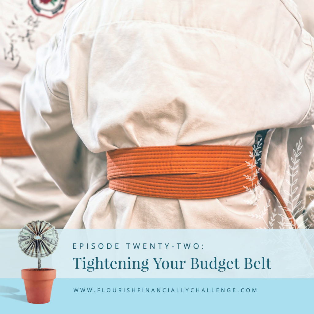 Tightening Your Budget Belt